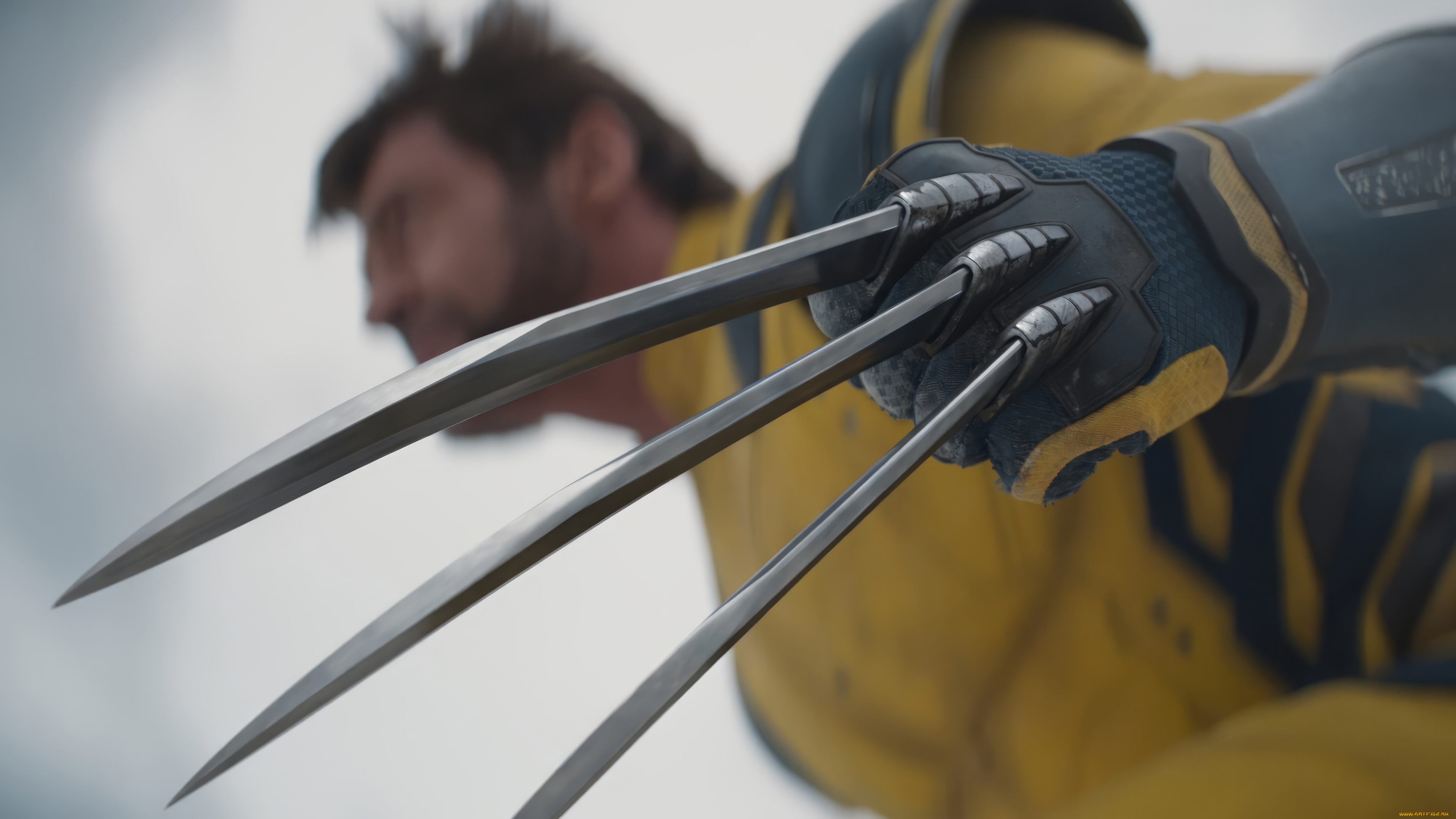 deadpool & wolverine ,  2024 ,  , deadpool & wolverine, , , , , , , , , hugh, jackman, logan, wolverine